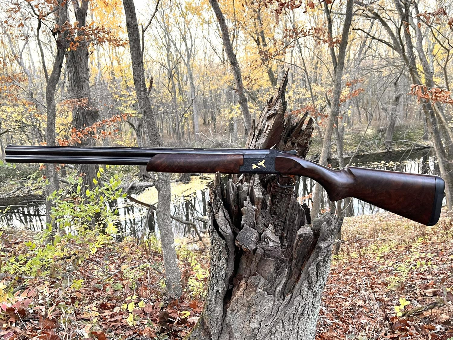 Exhibition Grade Shotgun Large Photo