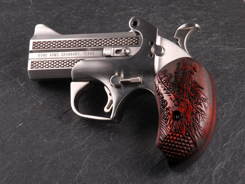 Bond Arms Projects Large Photo