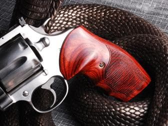 colt Hover