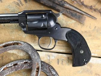 ruger Hover