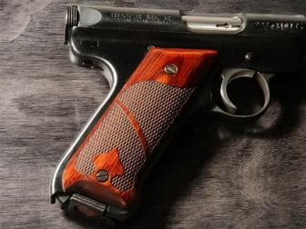 ruger Hover