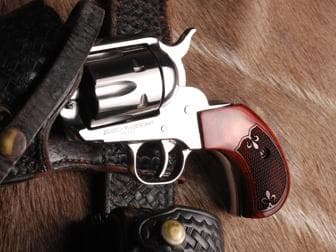 ruger Hover