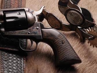 ruger Hover