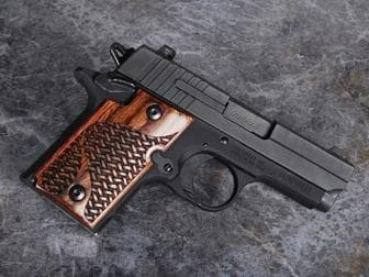 sig Hover