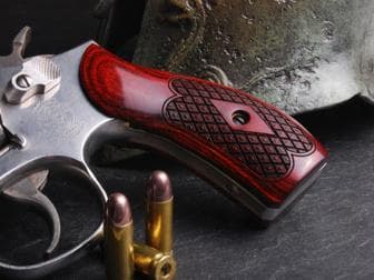 smith and wesson Hover