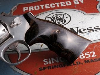 smith and wesson Hover