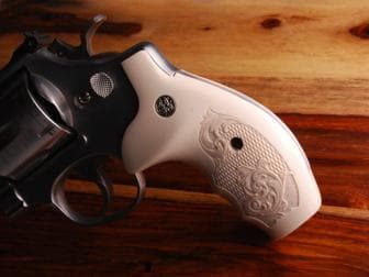 smith and wesson Hover
